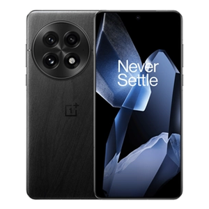 OnePlus 13, 12 GB, 256 GB, black eclipse