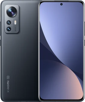 Xiaomi 12 Pro 256GB/12GB Gray