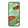 Google Pixel 9, 12 GB, 256 GB, wintergreen