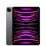 Apple iPad Pro 11'' (2022), 512 GB, WiFi, space grey